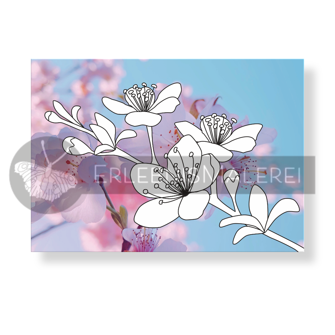 Klappkarte zum Ausmalen mit Kirschblüten - Persönliche
Frühlingsgrußkarte DIN A5