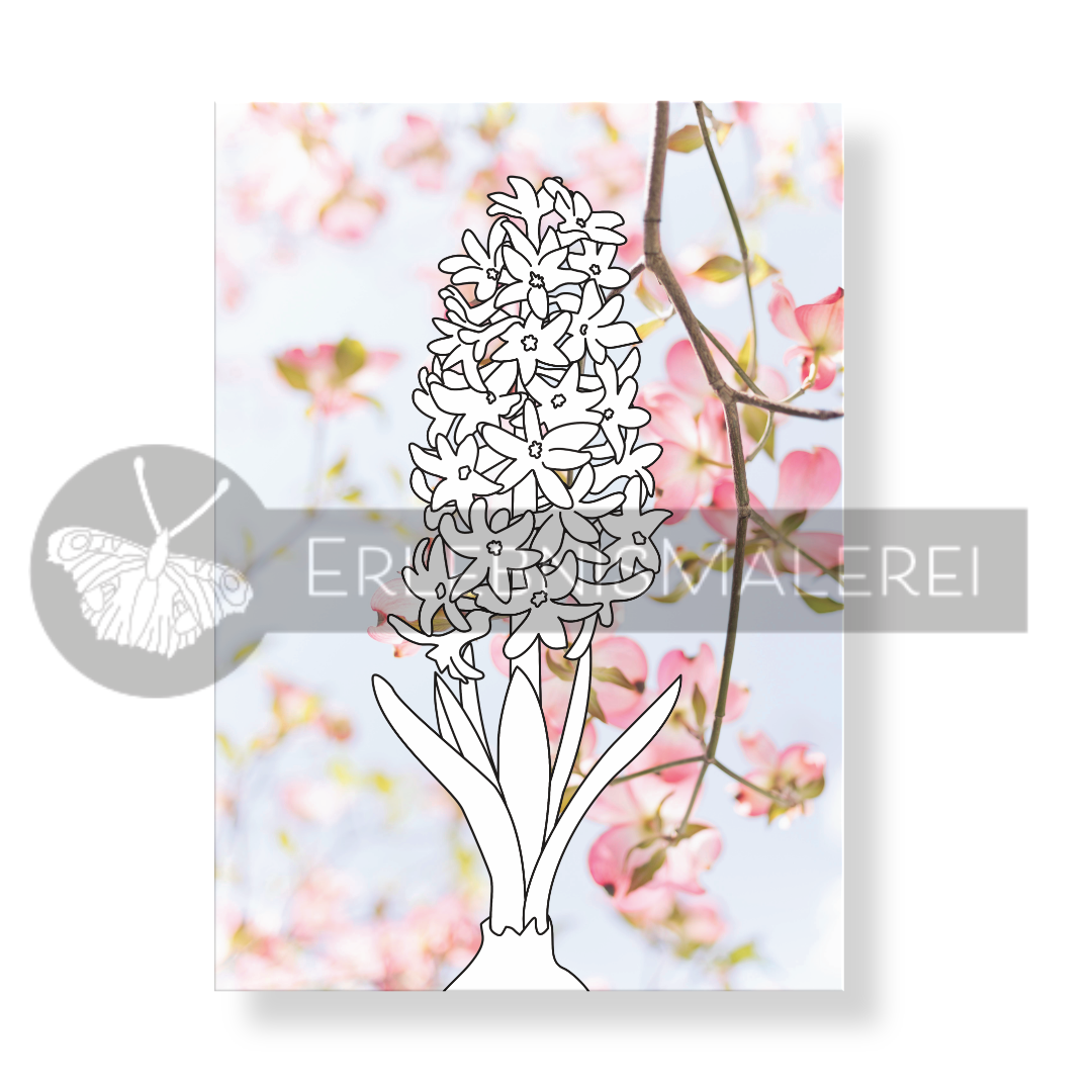 Ausmalkarte mit einer detaillierten Hyazinthe als Ausmalvorlage vor einem Fotohintergrund aus zartrose Kirschblüten. Die Malkarte gehört zum Malkarten-Set "Frühlingsflüstern".