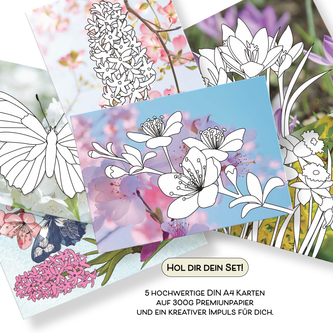 Frühlings-Ausmalkarten-Set mit 5 verschiedenen Motiven zum Ausmalen auf Fotohintergrund einer Inspirationskarte. Schmetterling, Hyazinthe, Kirschblüten, Krokus und Narzissen vor bunten Fotohintergrund. 5 hochwertige DIN A4 Ausmalkarten auf 300g Premiumpapier.