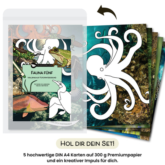 Das Produktfoto zeigt das Malkarten Set „Fauna Fünf“ von ErlebnisMalere. Ein modernes Malbuch aus fünf einzelnen DIN A4 Karten. Auf der Titelkarte sind farbige Tierillustrationen und schwarzweiße Ausmalmotive vor einem Unterwasserhintergrund zu sehen. Rechts daneben sind die weiteren Malkarten aufgefächert, jede mit einem eigenen Fotohintergrund und Tiermotiv zum Ausmalen, darunter ein Oktopus und verschiedene Meeres- und Naturtiere. Unten steht „Hol dir dein Set!“ sowie der Hinweis auf „5 hochwertige DIN