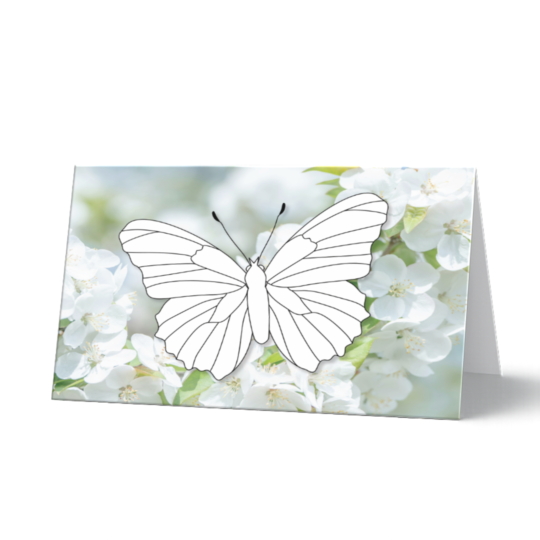 Grußkarte zum Ausmalen mit einem detallierten Schmetterling als Ausmalvorlage vor einem zarten Fotohintergrund aus weißen Frühlingsblüten.