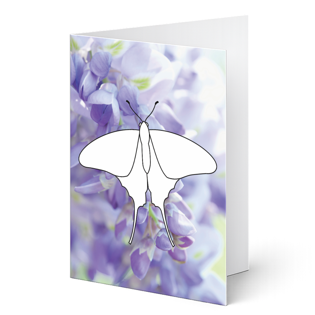 Grußkarte zum Ausmalen auf Fotohintergrund. Die Karte zeigt einen Schmetterling als Ausmalvorlage vor einen lila Wisterienblüten-Hintergrund.