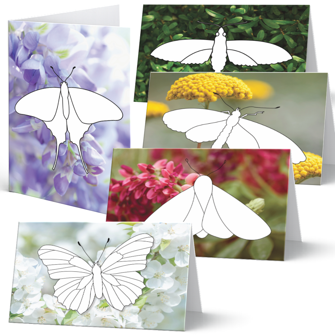 Grußkarten-Set "Flügelleicht" zum Ausmalen mit 5 verschiedenen Schmetterlings-Motiven auf Fotohintergrund. Jede Karte zeigt einen weißen Schmetterling als Ausmalvorlage vor einem anderen Blütenhintergrund.
