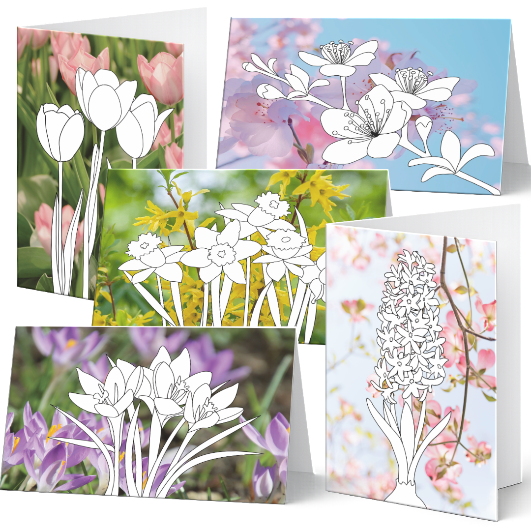 Grußkarten-Set Frühlingsgrüße mit 5 Karten zum Ausmalen -
Frühlingsblumen auf Fotohintergrund