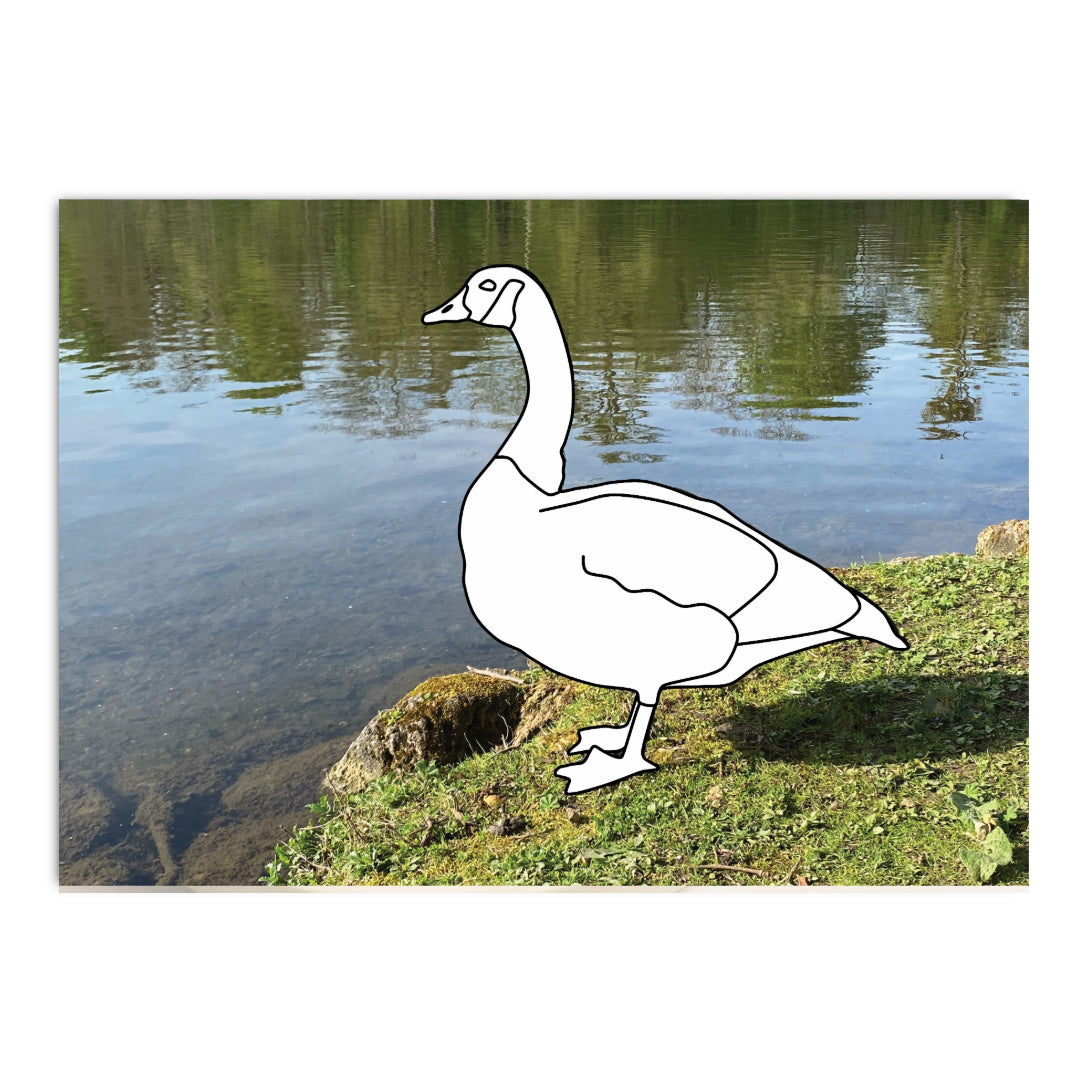 Malkarte mit Ente zum Ausmalen und Fotohintergrund