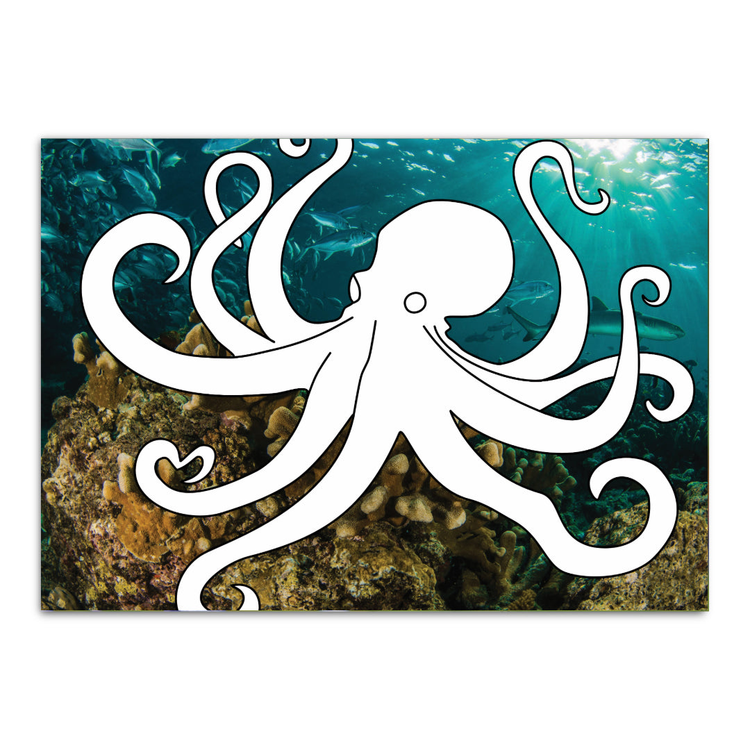 Malkarte mit Oktopus. Faszinierendes Meeresmotiv zum Ausmalen.