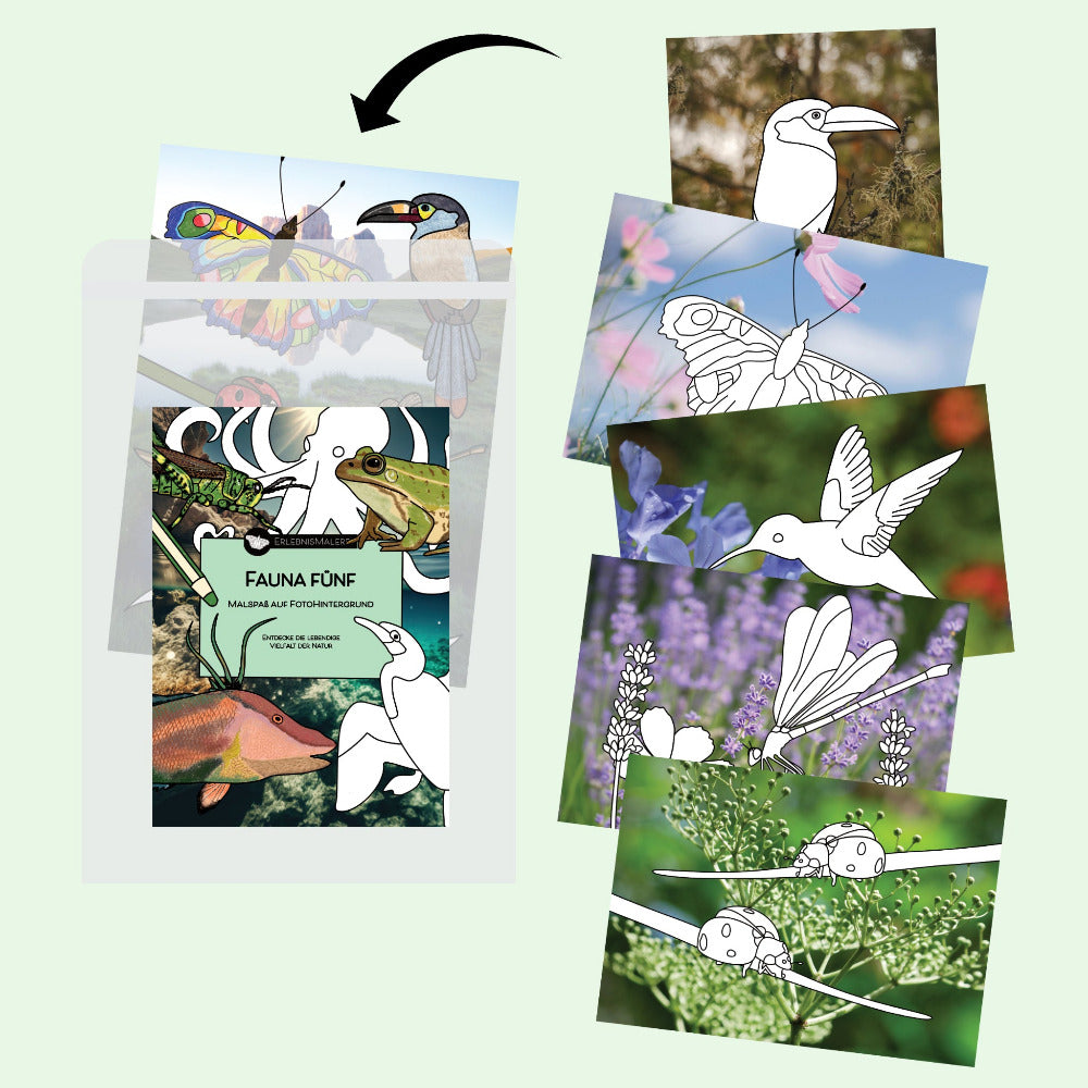 Malkarten-Set´s - Jedes Set enthält 5 liebevoll gestaltete DIN A4 Karten auf 300g Premiumpapier und einer Inspirationskarte mit kreativen Impulsen.