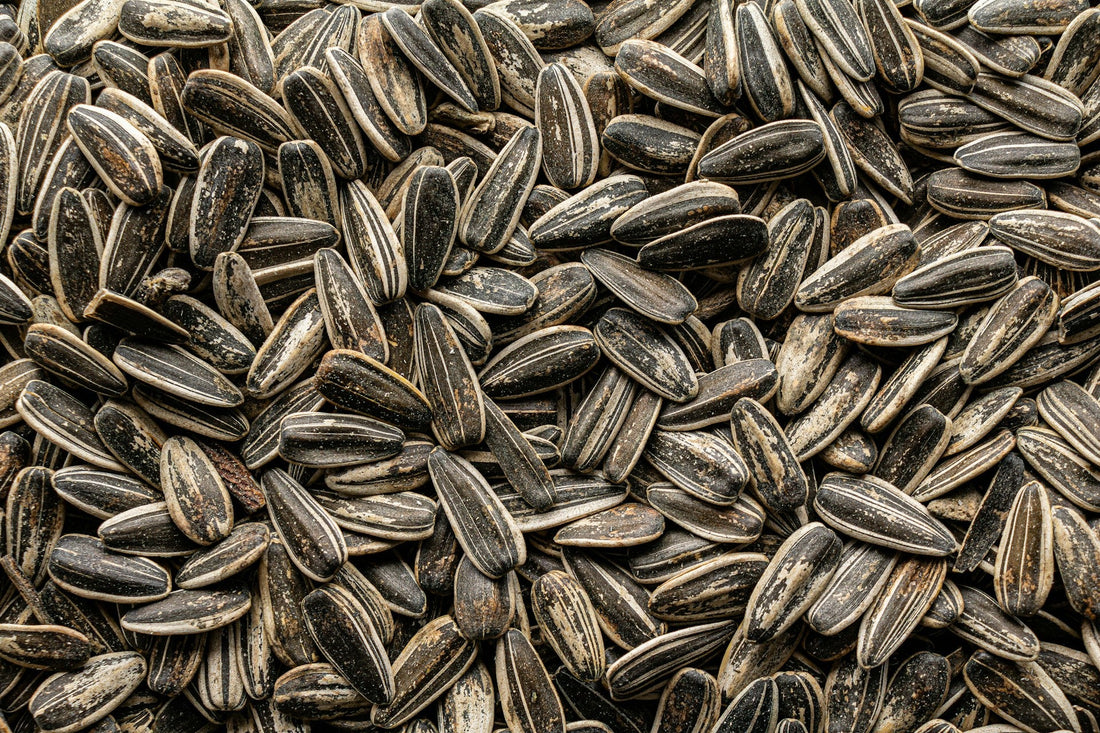 Naturfarbe grün aus Sonnenblumenkerne