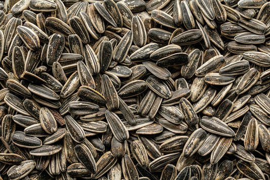 Naturfarbe grün aus Sonnenblumenkerne