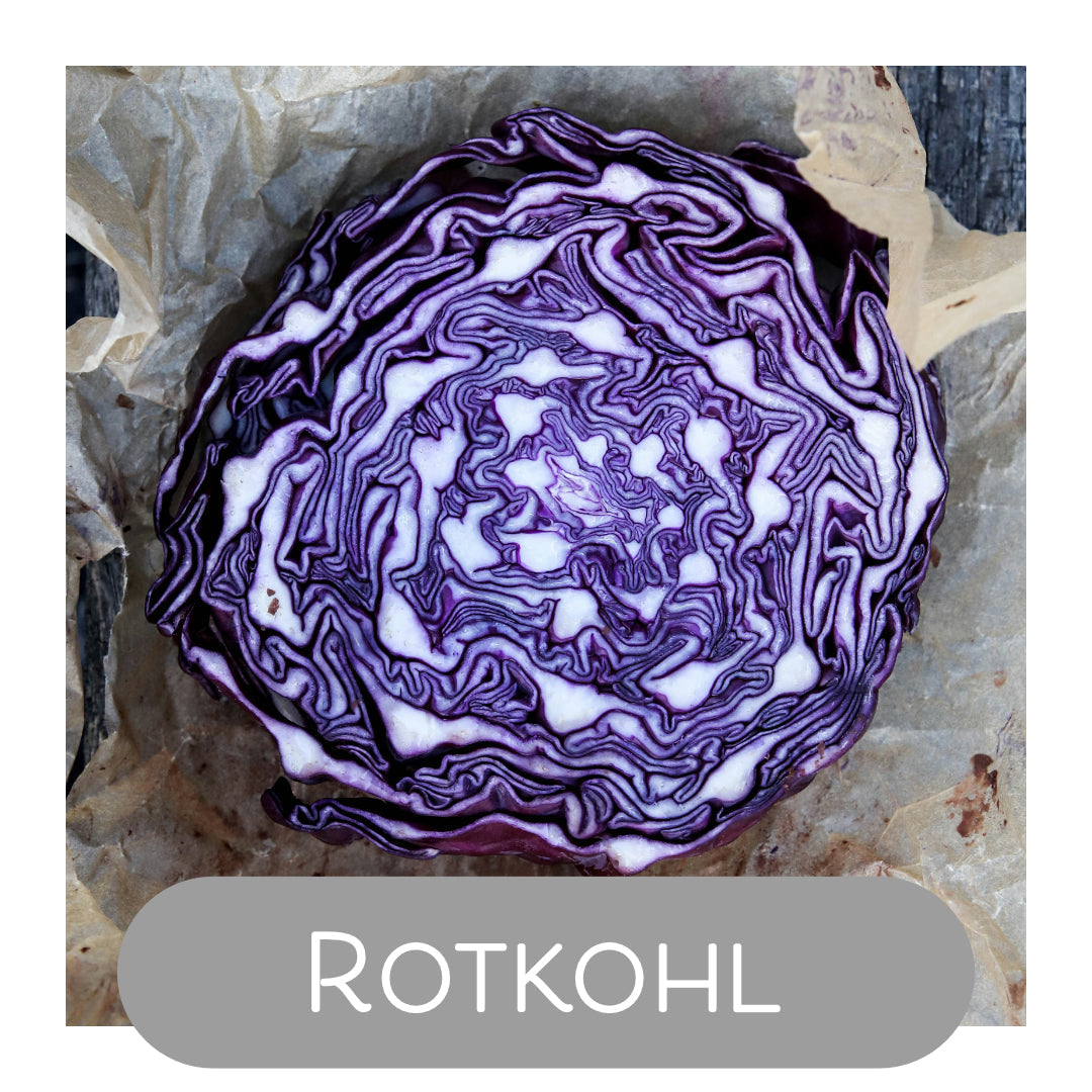 Rotkohl als Naturfarbe