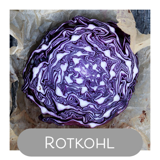 Rotkohl als Naturfarbe