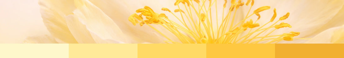 Gelb – Farbe des Lichts und der Lebensfreude