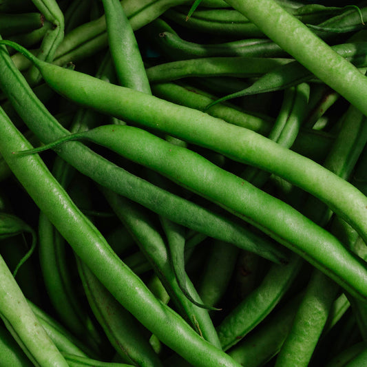Grüne Bohnen als Naturfarbe