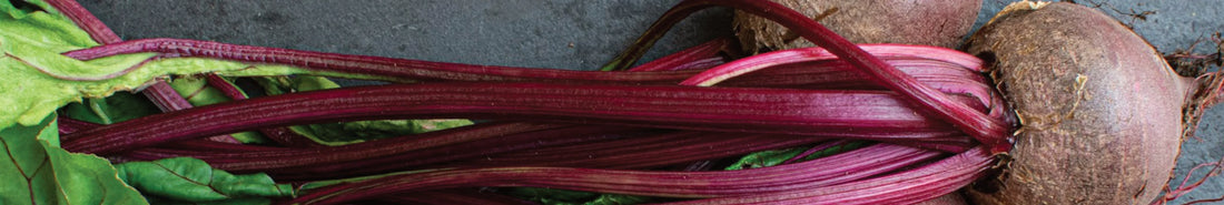 Naturfarbe pink aus rote Beete herstellen
