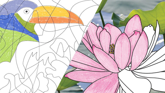 Malen nach Zahlen vs Ausmalen auf Fotohintergrund