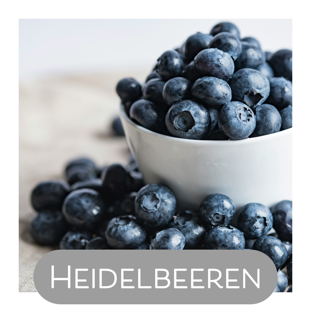 Heidelbeeren als Naturfarbe