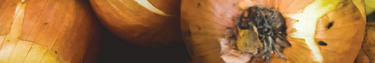 Naturfarbe orange aus Zwiebelschalen herstellen