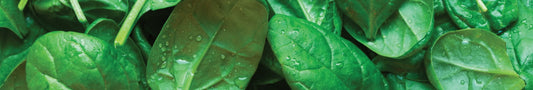 Natürliche Farbe Grün selber machen