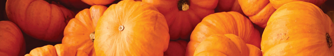 Naturfarbe orange aus dem Kürbis