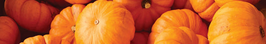 Naturfarbe orange aus dem Kürbis