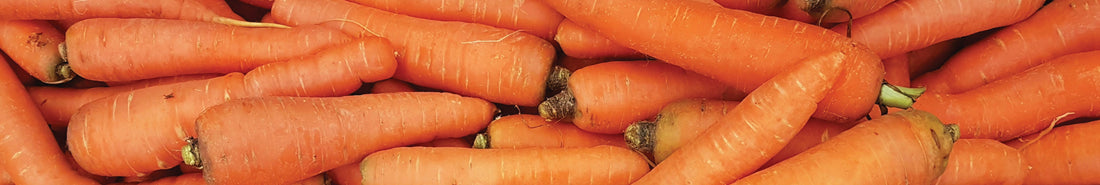 Naturfarbe orange / gelb aus Karotten