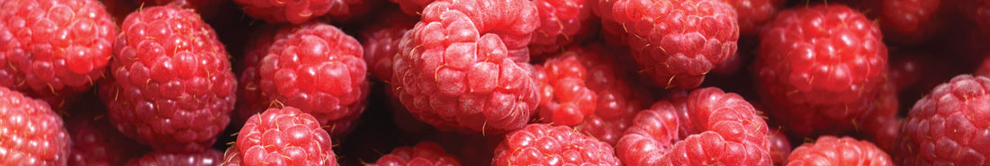 Naturfarbe rosa aus Himbeeren herstellen