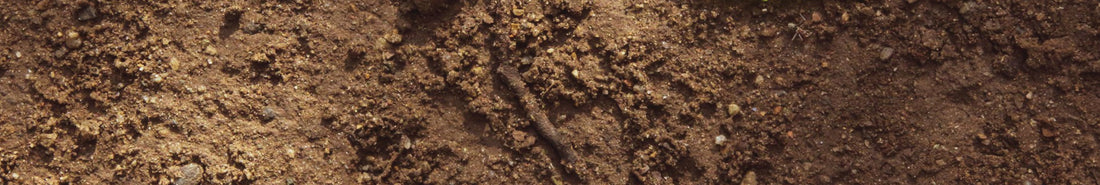 Naturfarbe sienna / ocker / umbra aus Erde herstellen