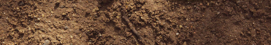 Naturfarbe sienna / ocker / umbra aus Erde herstellen