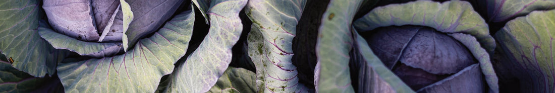 Natürliche Farbe von Violett über Blau herstellen