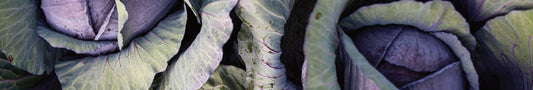 Natürliche Farbe von Violett über Blau herstellen