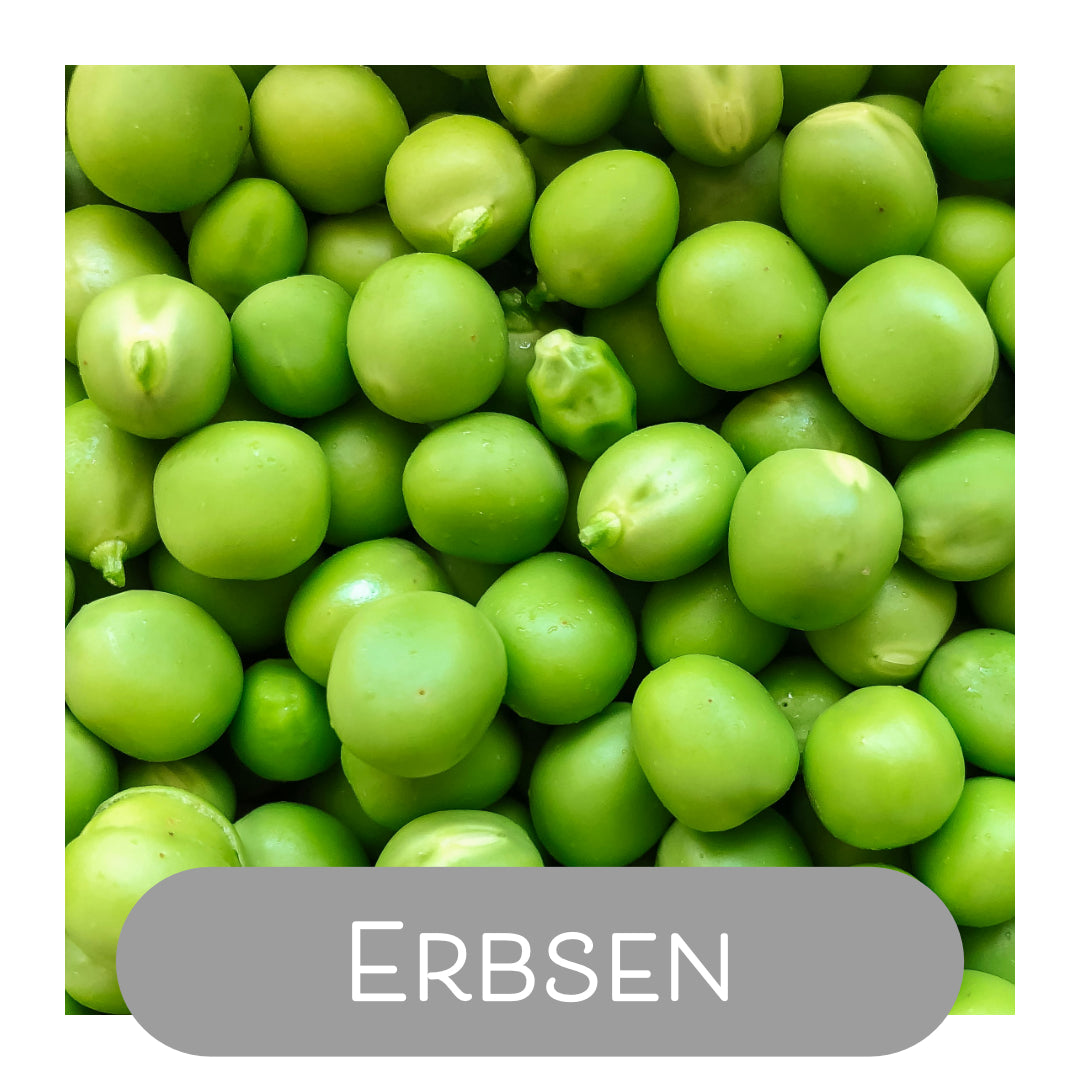 Erbsen als Naturfarbe