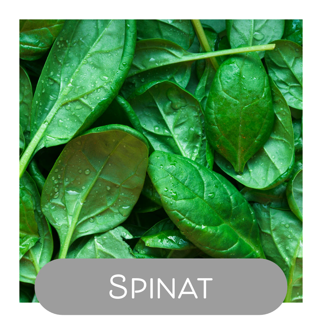 Spinat als Naturfarbe