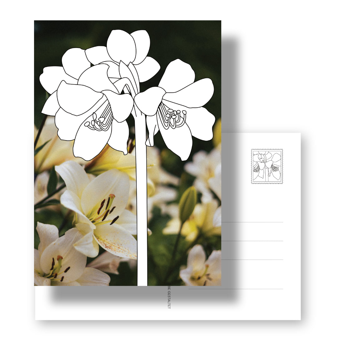 Postkarte mit Ausmalmotiv "Lilie" auf Fotohintergrund. Die kreative Art des Malbuchs. 