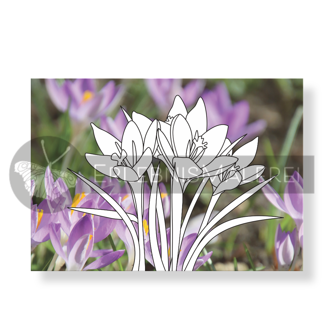 Malkarten-Set „Frühlingsflüstern“