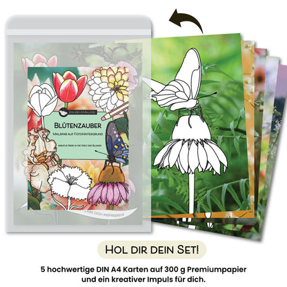Das Produktfoto zeigt das Malkarten Set „Blütenzauber“ von ErlebnisMalerei, ein blumiges Malbuch in Kartenform. Die Titelkarte zeigt verschiedene florale Illustrationen und einen Schmetterling zum Ausmalen. Rechts daneben liegen die fünf DIN A4 Karten aufgefächert, jede mit einem farbigen Naturfotohintergrund und floralen Schwarzweißmotiven. Darunter steht „Hol dir dein Set!“ sowie der Hinweis auf fünf hochwertige Karten und einen kreativen Impuls.