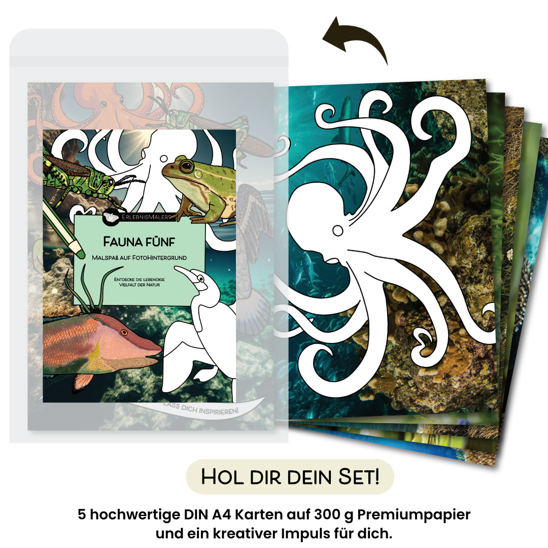 Das Produktfoto zeigt das Malkarten Set „Fauna Fünf“ von ErlebnisMalere. Ein modernes Malbuch aus fünf einzelnen DIN A4 Karten. Auf der Titelkarte sind farbige Tierillustrationen und schwarzweiße Ausmalmotive vor einem Unterwasserhintergrund zu sehen. Rechts daneben sind die weiteren Malkarten aufgefächert, jede mit einem eigenen Fotohintergrund und Tiermotiv zum Ausmalen, darunter ein Oktopus und verschiedene Meeres- und Naturtiere. Unten steht „Hol dir dein Set!“ sowie der Hinweis auf „5 hochwertige DIN 