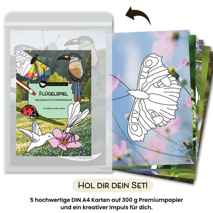 Das Produktfoto zeigt das Malkarten Set „Flügelspiel“ von ErlebnisMalerei, ein naturinspiriertes Malbuch in Einzelkartenform. Auf der Titelkarte befinden sich farbige Vögel, Schmetterlinge und eine Blüte als Ausmalmotive. Daneben sind die fünf DIN A4 Karten aufgefächert dargestellt, jede mit einem Fotohintergrund und feinen Schwarzweißzeichnungen fliegender Tiere. Unten steht „Hol dir dein Set!“ sowie der Hinweis auf Premiumkarten und einen kreativen Impuls.