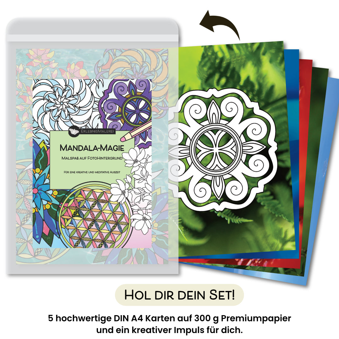 Das Produktfoto zeigt das Malkarten Set „Mandala-Magie“ von ErlebnisMalerei, ein kreatives Malbuch aus einzelnen DIN A4 Karten. Die Titelkarte zeigt Mandalas und florale Muster zum Ausmalen vor einem farbenfrohen Hintergrund. Rechts sind die fünf Malkarten aufgefächert dargestellt, mit Naturfotohintergründen und Mandalamotiven in Schwarzweiß. Unten steht „Hol dir dein Set!“ sowie der Hinweis auf Premiumpapier und kreativen Impuls.