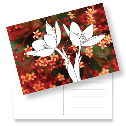 Postkarten mit Blumen als Ausmalmotiv auf blütenreichen Fotohintergrund. 