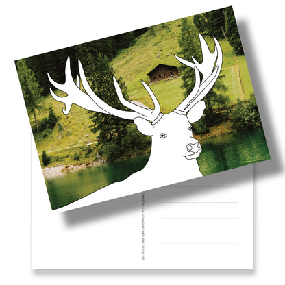 Postkarte DIN A5 mit Hirsch zum Ausmalen auf Fotohintergrund. Der neue Malspaß. Rückseite mit Adressfeld und Hirsch-Briefmarke.