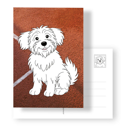 Postkarte mit Hund zum Ausmalen auf Fotohintergrund in DIN A5 Format. Rückseite mit Adressfeld und Hunde-Briefmarke. Wer freut sich nicht über so eine Postkarte!