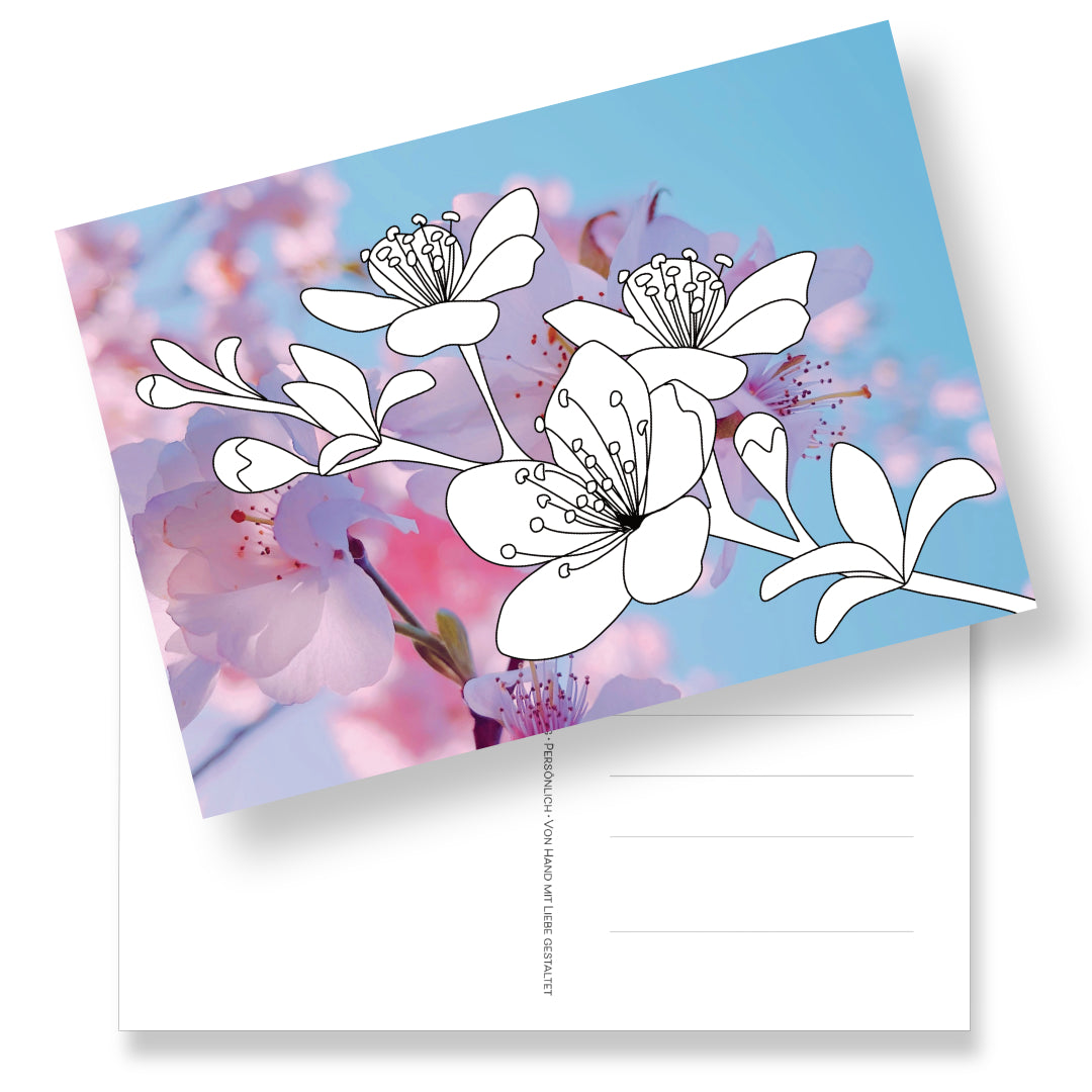 Postkarte mit Kirschblüte als Ausmalmotiv auf Kirschblüten-Fotohintergrund. 