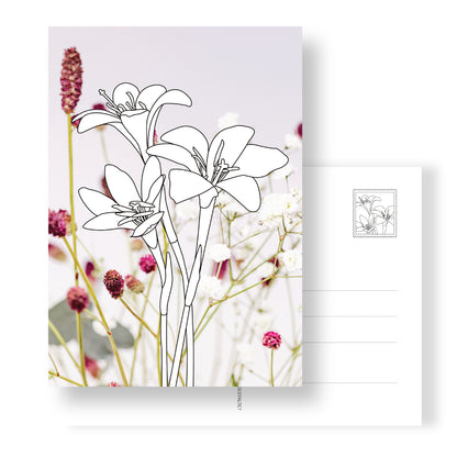 Postkarte mit Lilien zum Ausmalen auf Fotohintergrund mit Blüten weiß und rot.  Rückseite mit Adressfeld und Briefmarke mit Lilien.