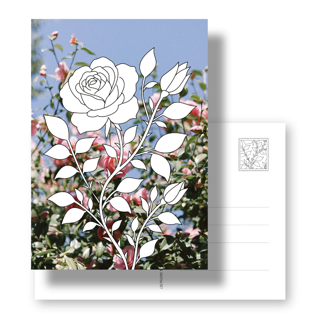 Postkarte mit Ausmalmotiv einer Rose und einem Fotohintergrund mit Rosenmotiv. Rückseite mit Adressfeld und Briefmarke mit Rosenblättern.