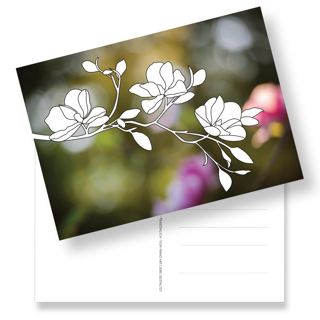 Postkarte mit Magnolienblüten zum Ausmalen auf Fotohintergrund. Rückseite der Postkarte mit Adressfeld und gestalteter Briefmarke.