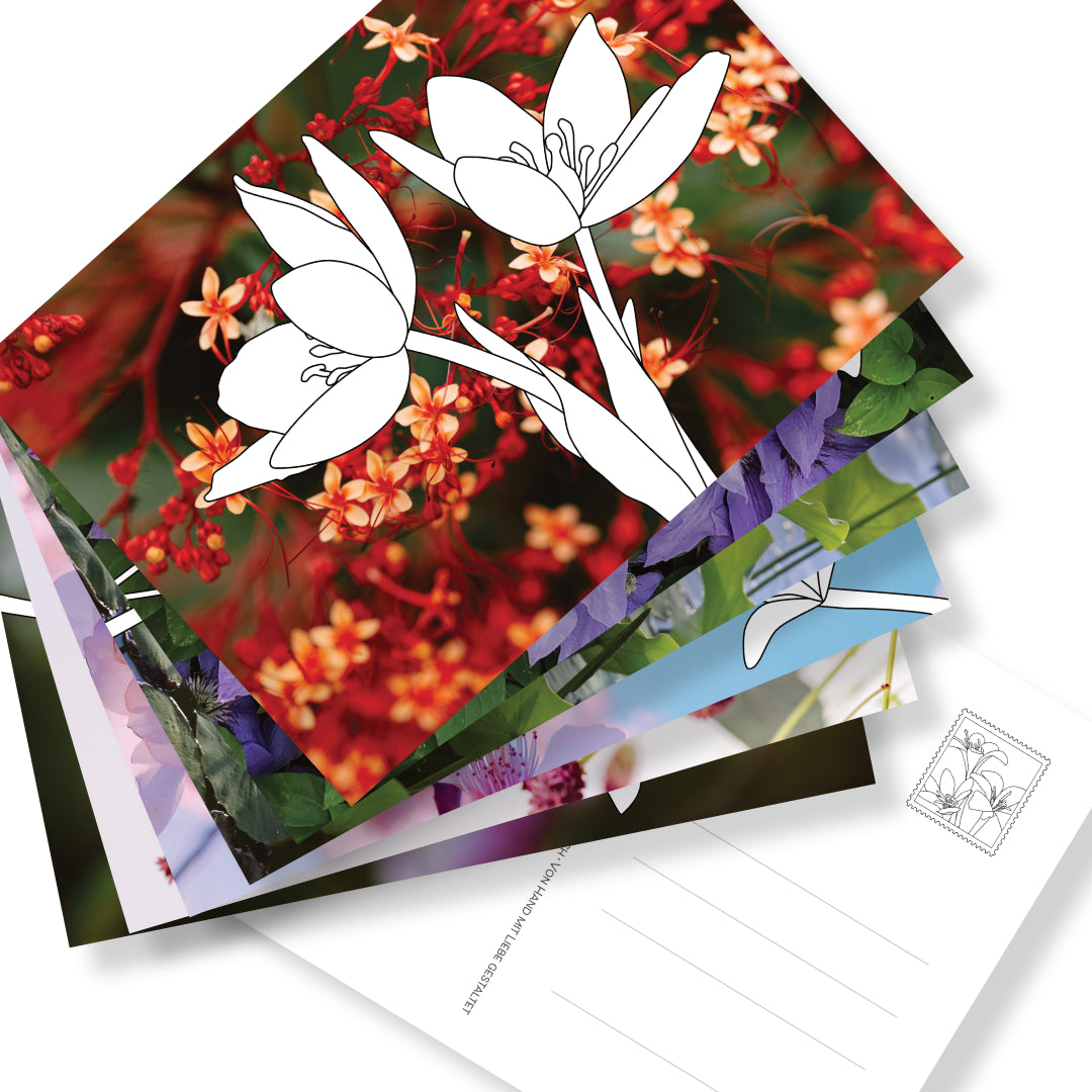 Postkartenset mit 6 Postkarten zum Ausmalen auf Fotohintergründen. Rückseite mit Adressfeld und gestalteten Briefmarken. Eine neue Art des Malbuchs.