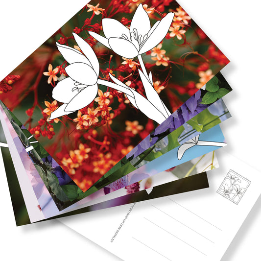 Postkartenset mit 6 Postkarten zum Ausmalen auf Fotohintergründen. Rückseite mit Adressfeld und gestalteten Briefmarken. Eine neue Art des Malbuchs.