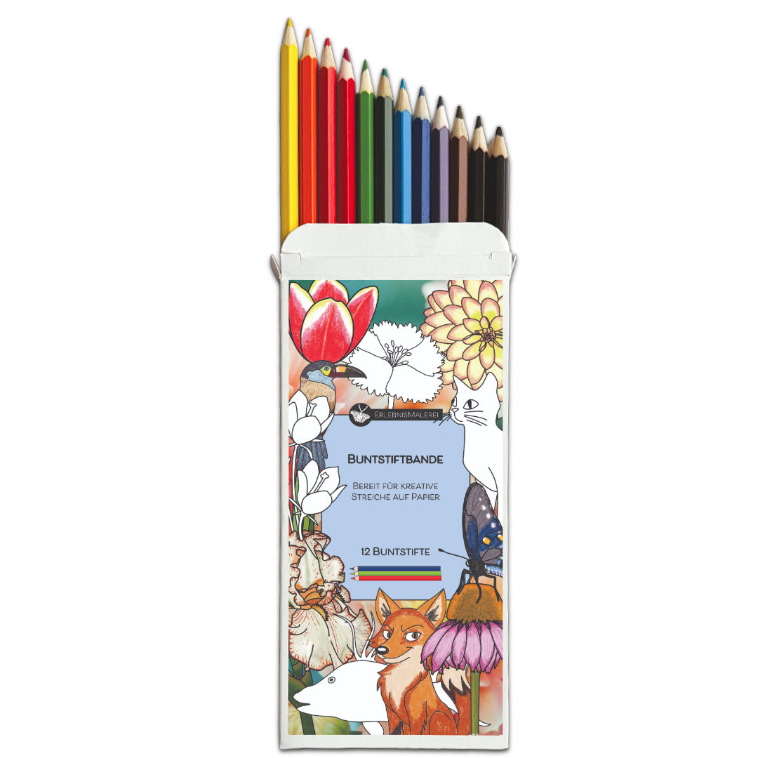 Verpackung unserer Buntstifte mit dem Erlebnismalerei Emblem inclusive 12 Farbstiften. Auf der Vorderseite sind gezeichnete und teils ausgemalte Motive wie Blumen, Fuchs, ein Vogel und ein Schmetterling zu sehen. In der Mitte steht "Buntstiftband - Bereit für kreative Streiche auf Papier" Die Buntstifte ragen aus der Verpackung heraus.