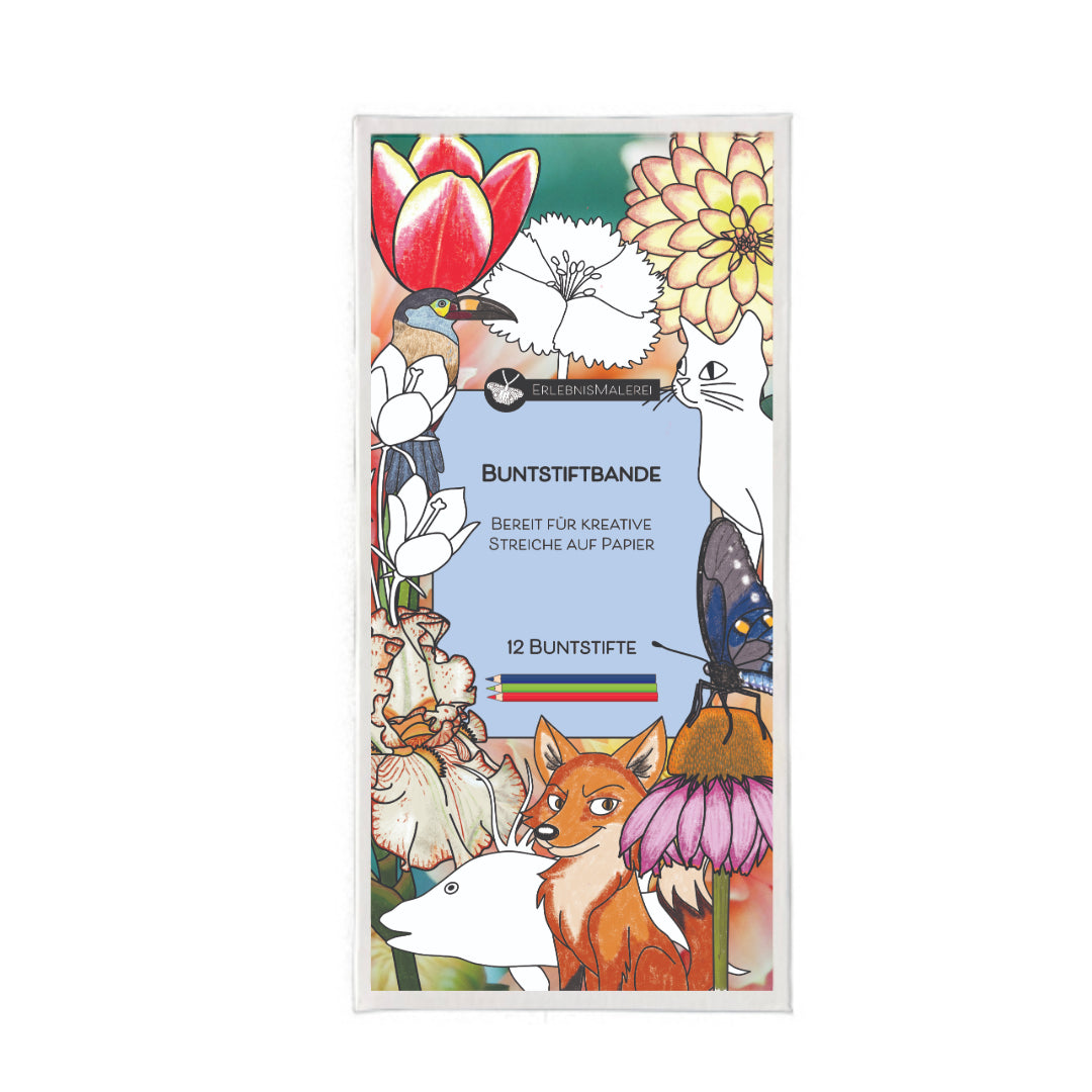 Buntstiftbande Verpackung von ErlebnisMalerei. Farbenfrohe Illustration mit Blumen, Tieren und Schmetterling, enthält 12 hochwertige Buntstifte für kreatives Malen.