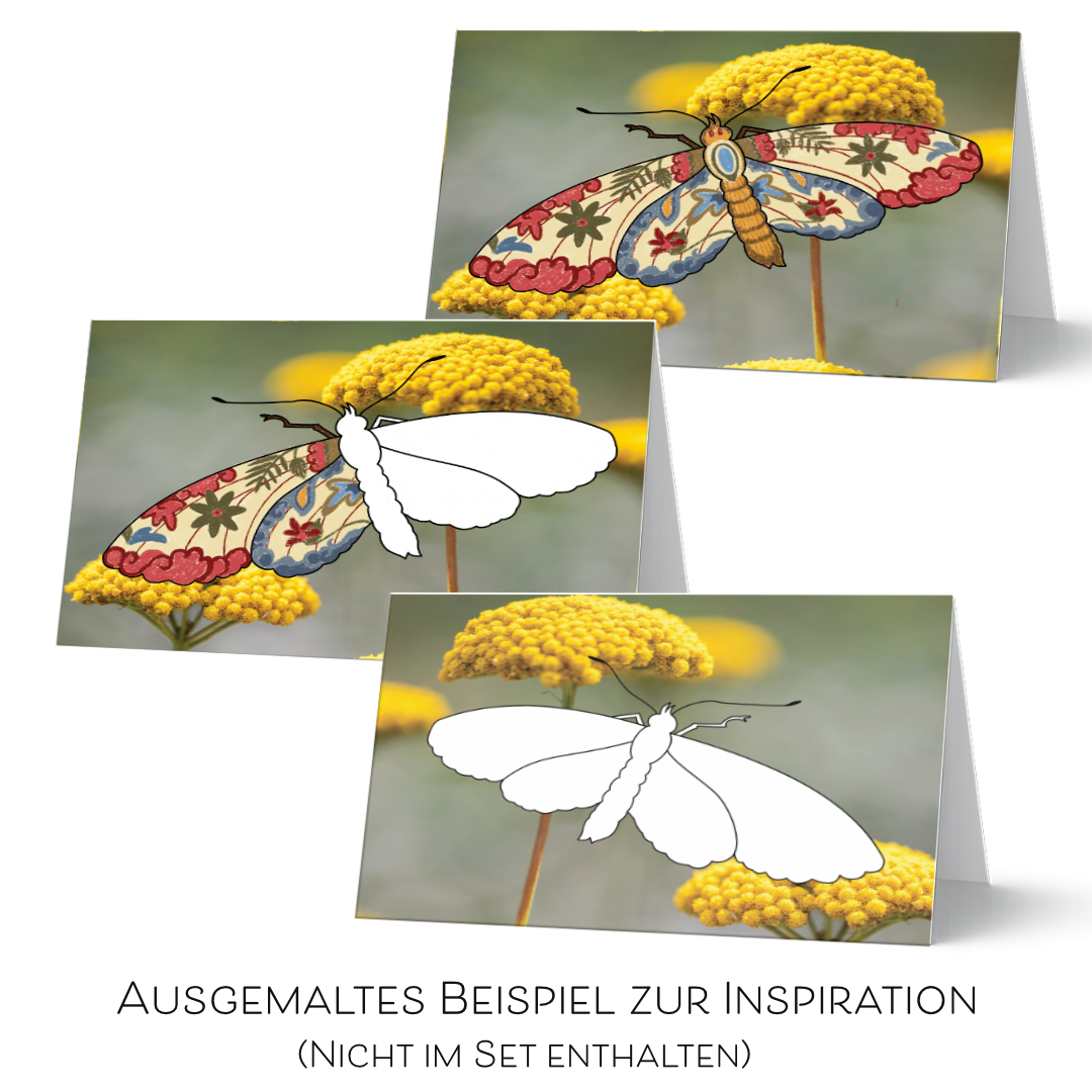 Grußkarten-Set "Flügelleicht" zum Ausmalen